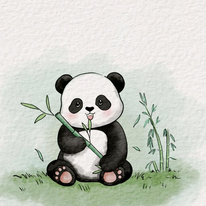 梦境窥见美好