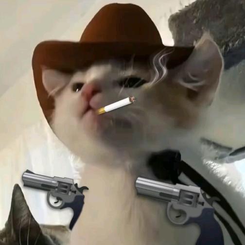 不听歌会死星人