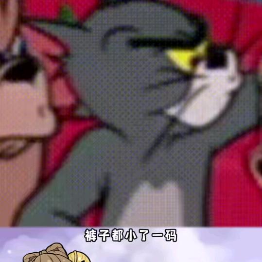 后来烟雨皆尽散