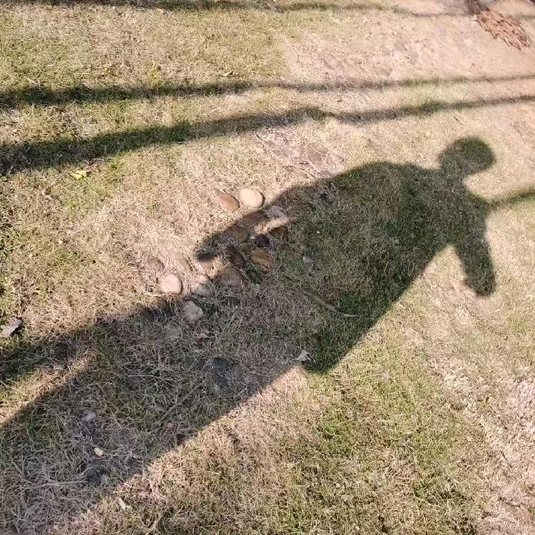 ୧⍤⃝🌴小  禾