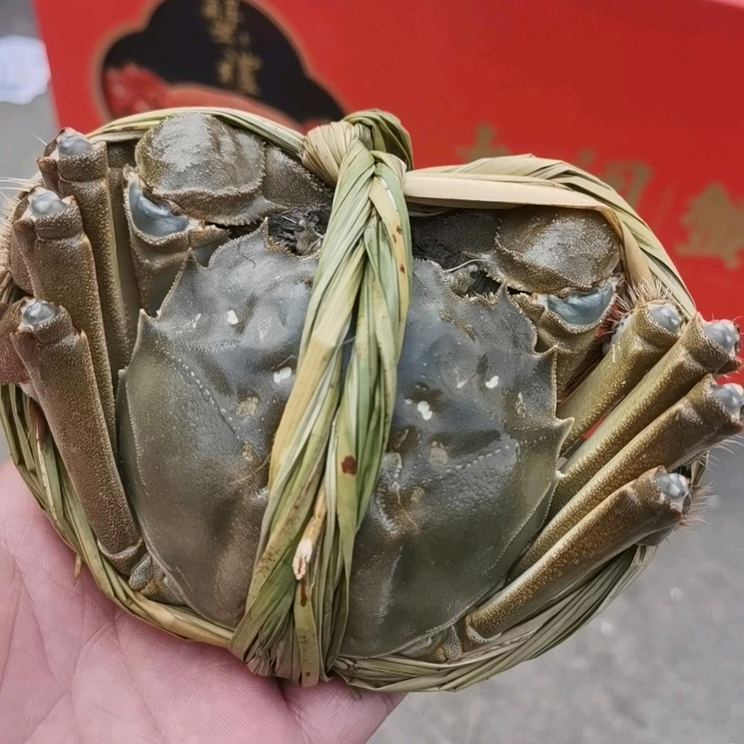 兴化大闸蟹🦀 小顾