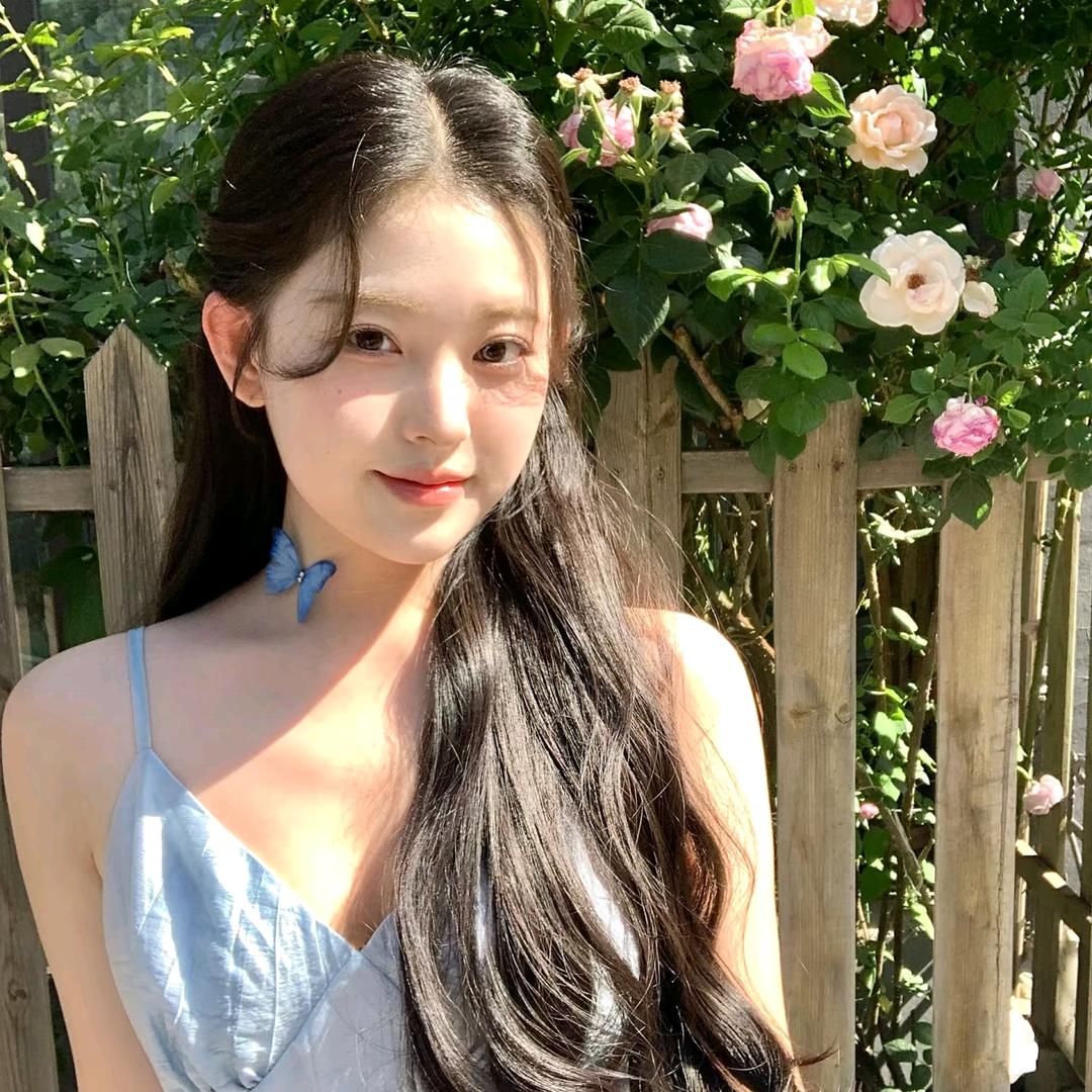 雪儿20号
