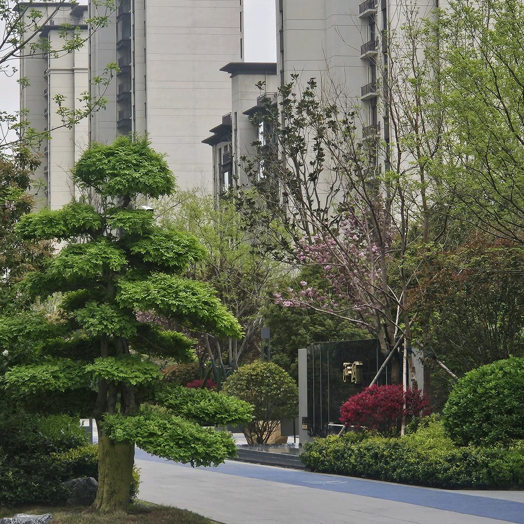 郑州润泓-锦园~省实验