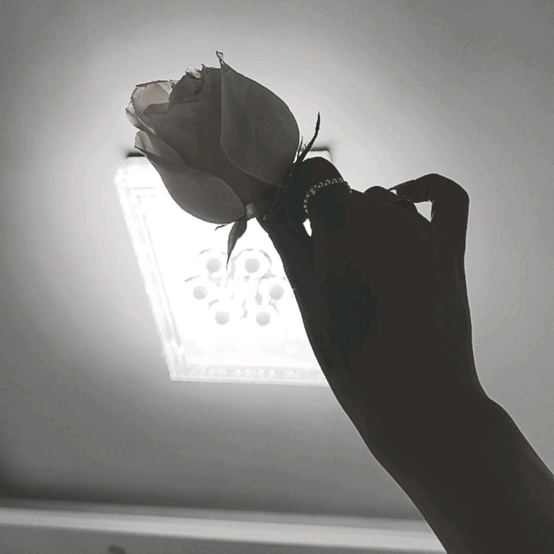 手可摘星辰