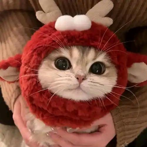 恒巨人力官方号