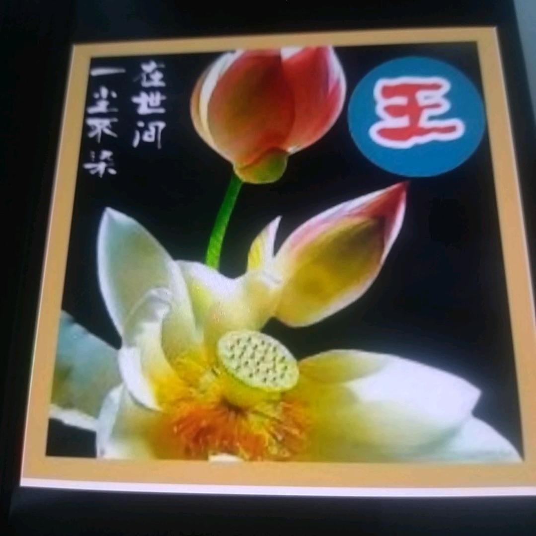 走天涯