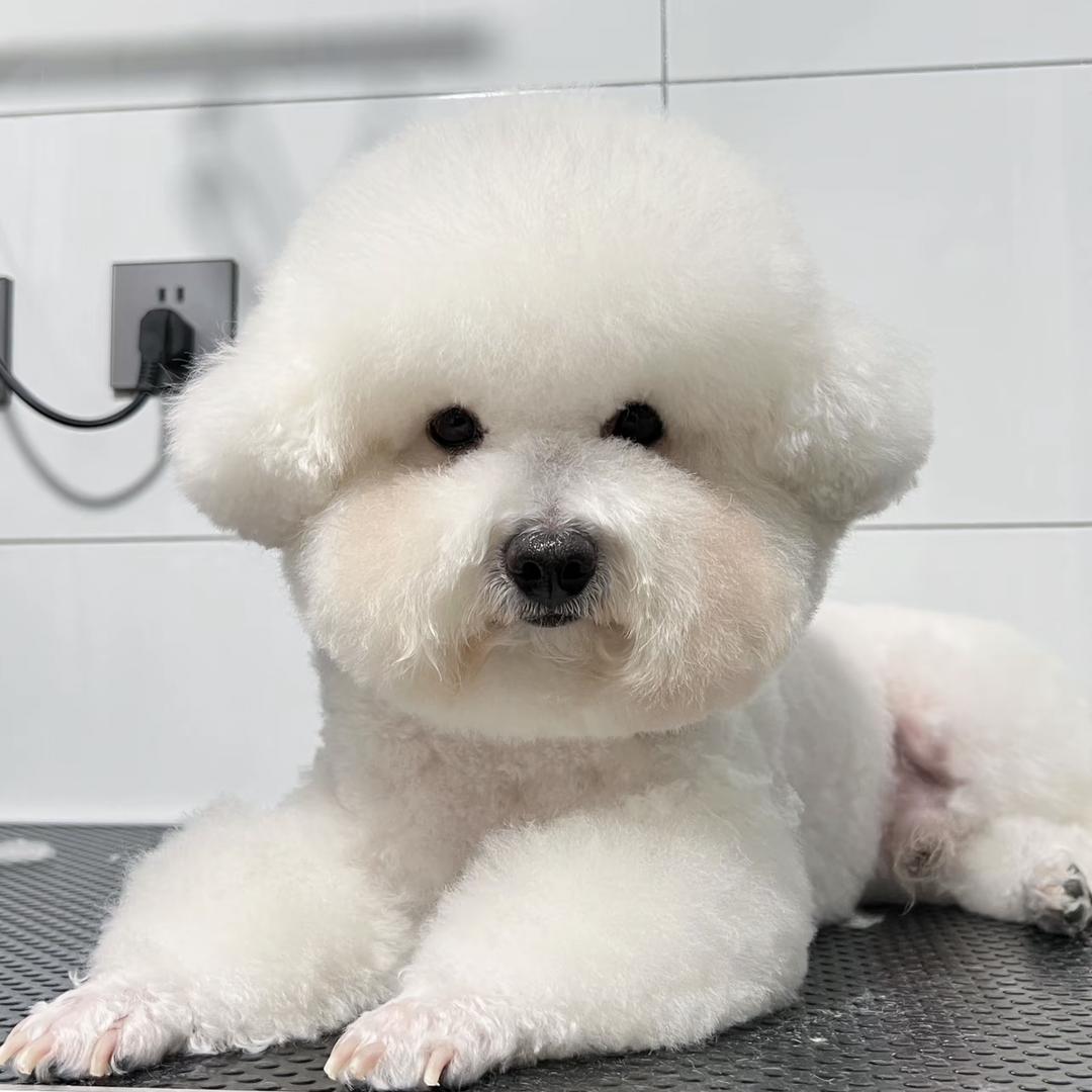 绿地喜萌宠屋