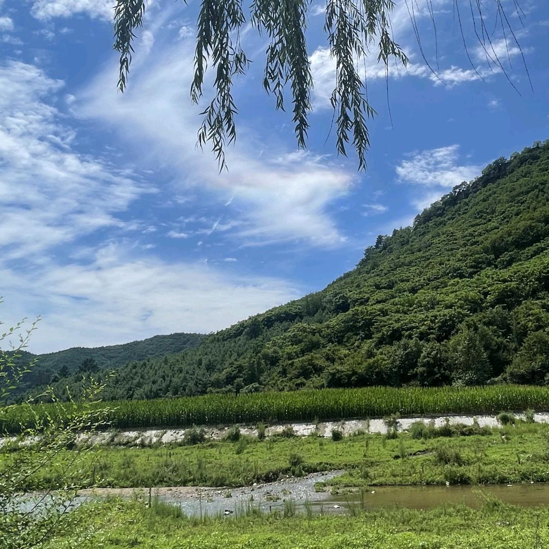 砚林