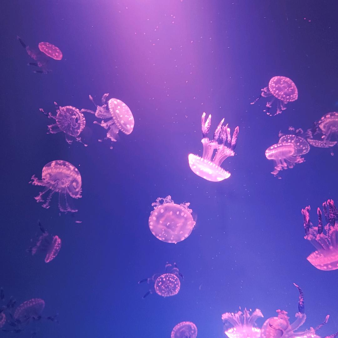 ୧( ⁼̴̶̤̀ω⁼̴̶̤́ )૭