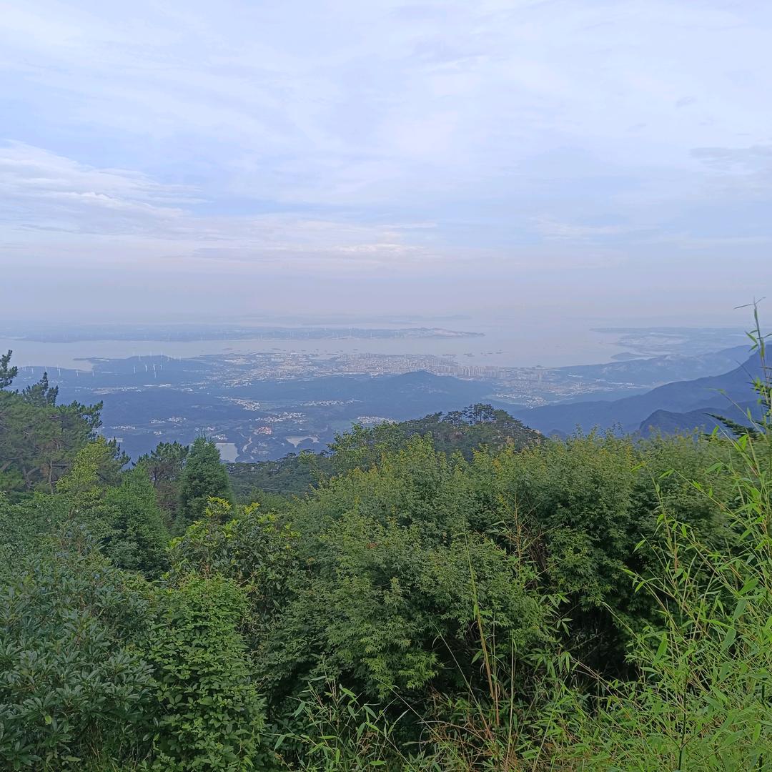 郭姐--厨卫电器