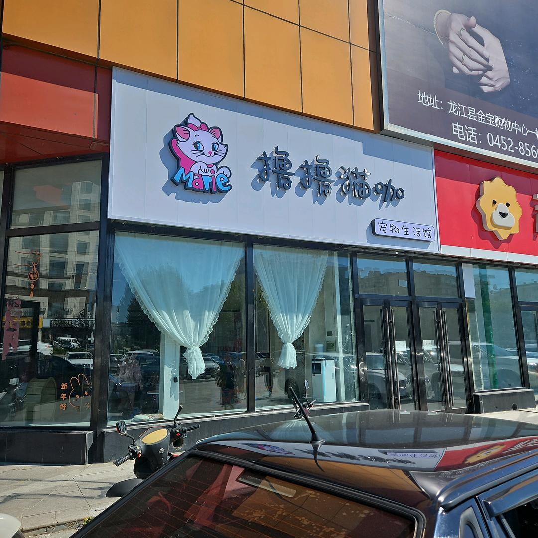 撸撸猫咖宠物生活馆.