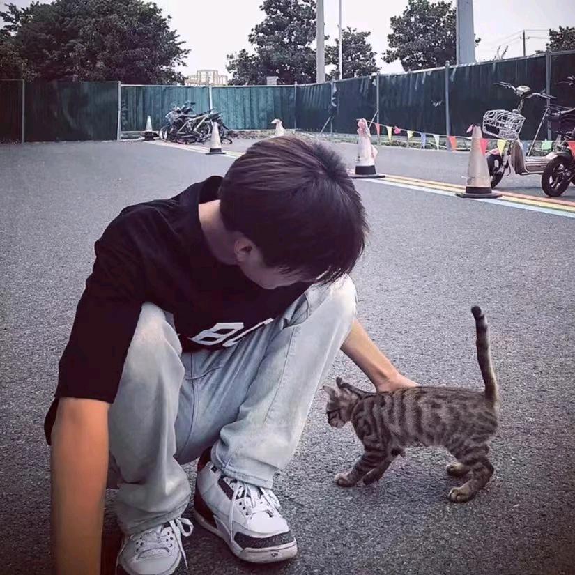 不会画大饼-