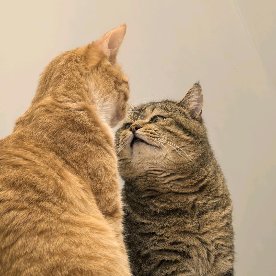 承接各种民事案件