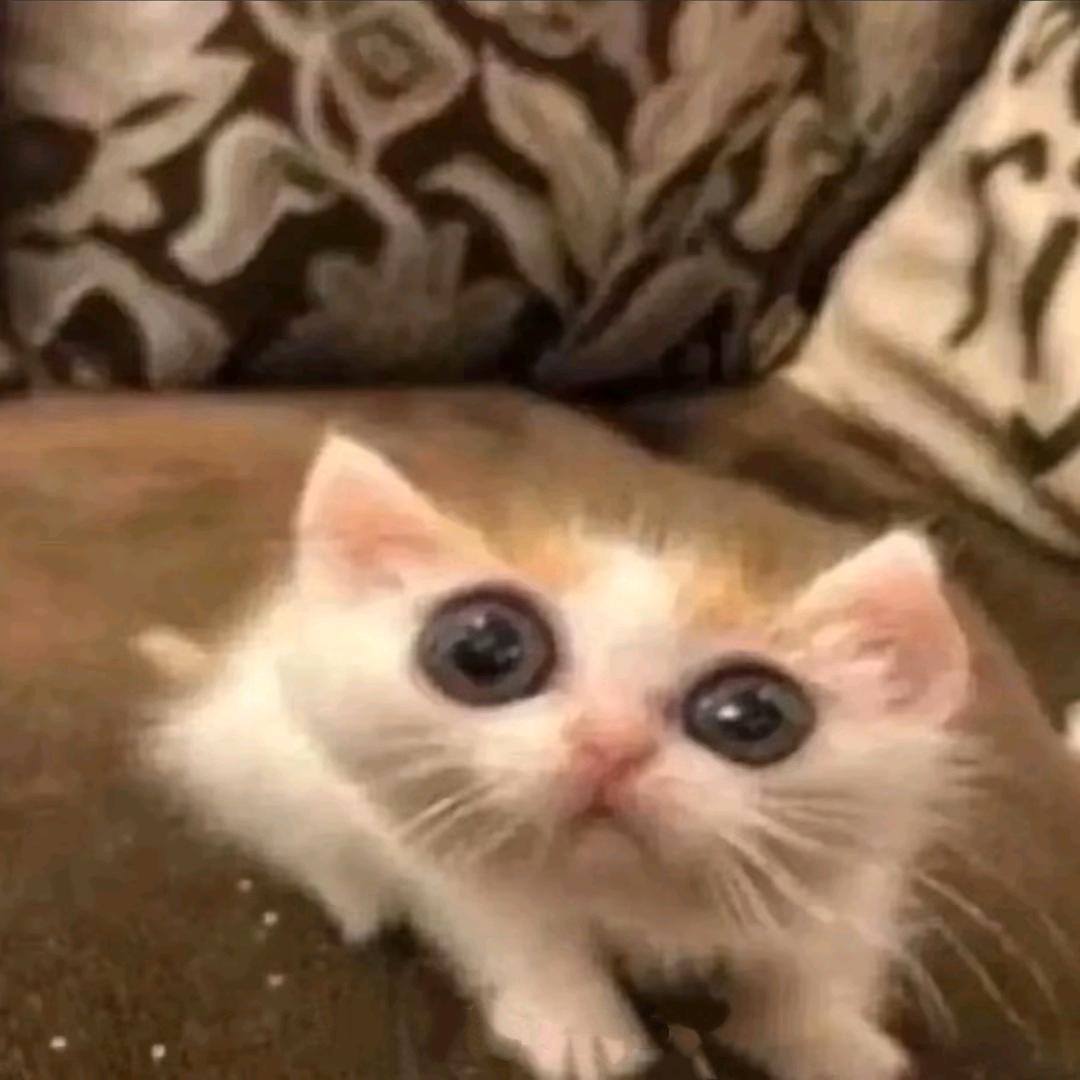 杰洛