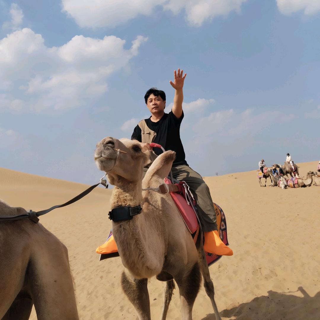 不惧岁月不惧风