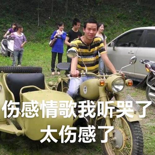 为什么受伤的总是我