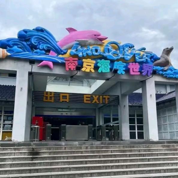 南京海底世界·小海豚