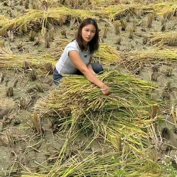 ☁云贵红娘小赵