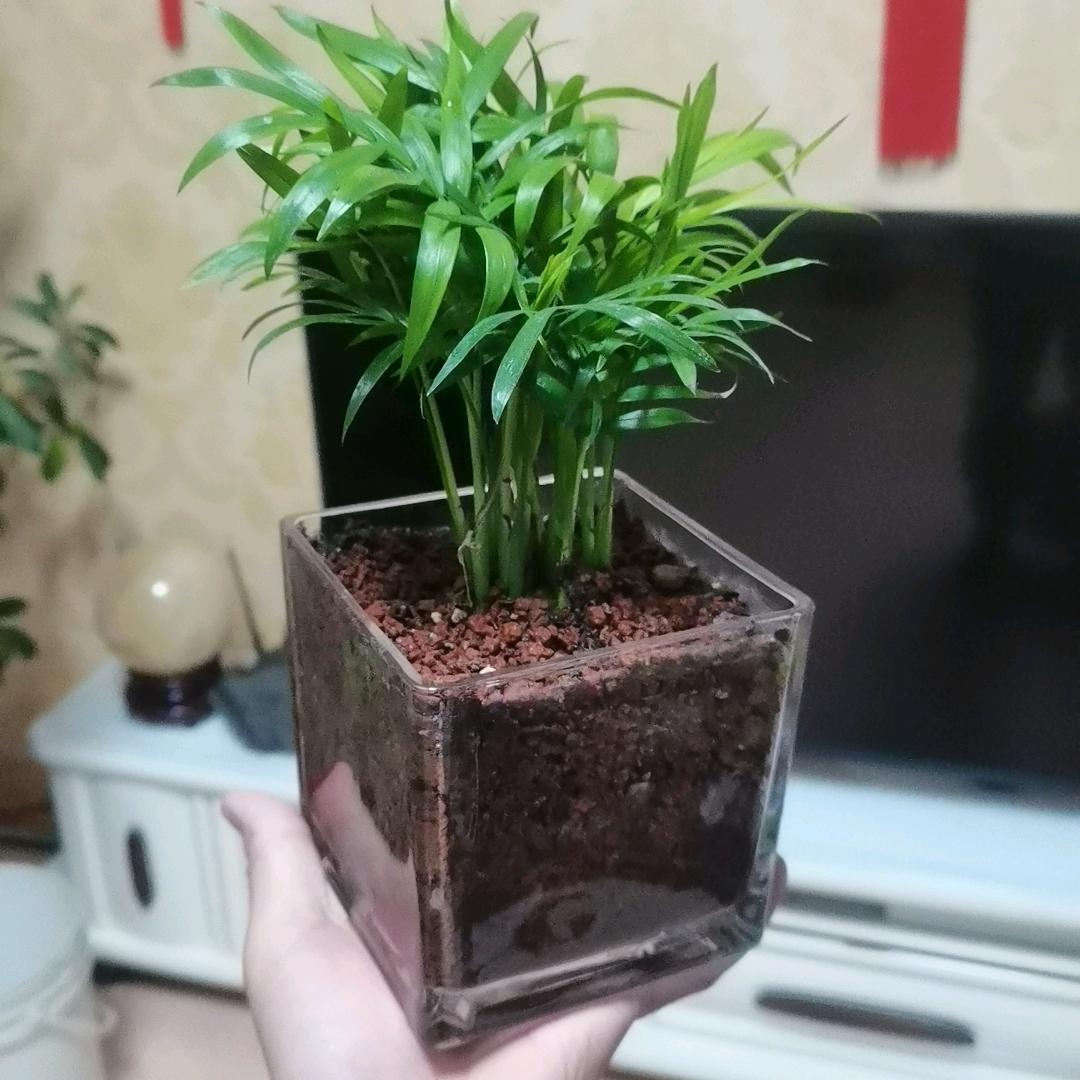 鹏飞～释然♛