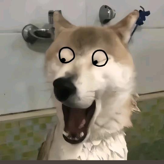 ^ ^