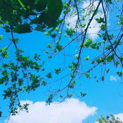 陌年