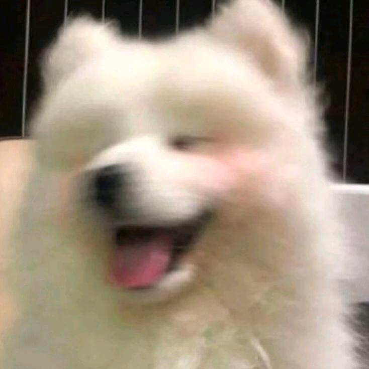 小江柳儿
