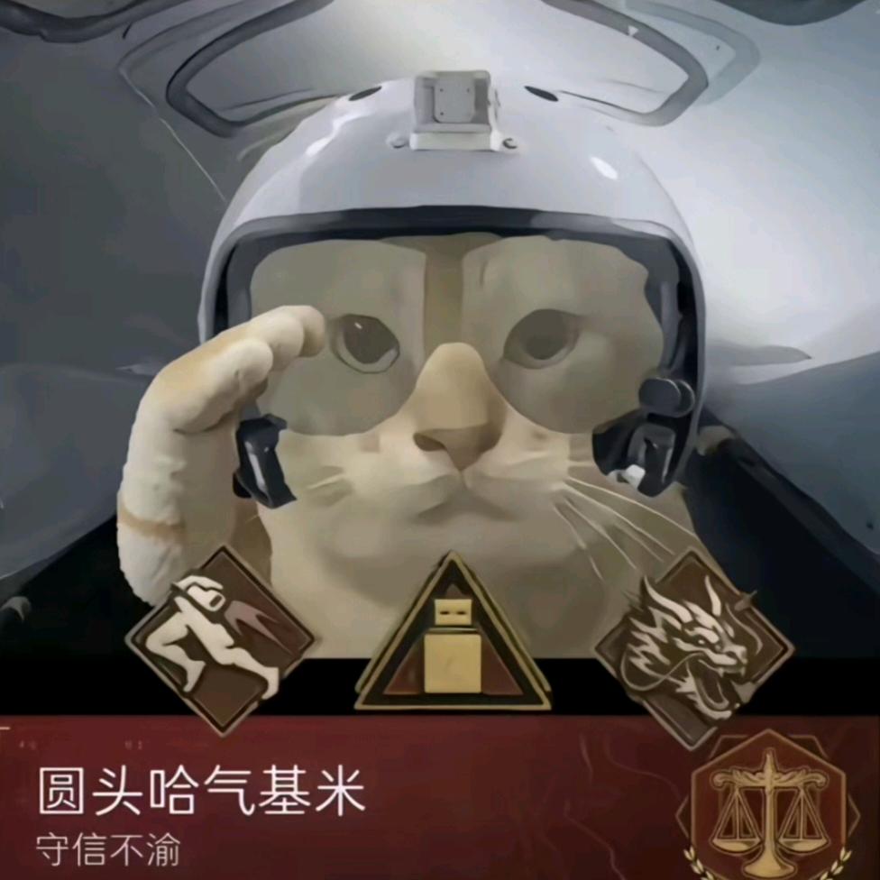 圆头哈气基米