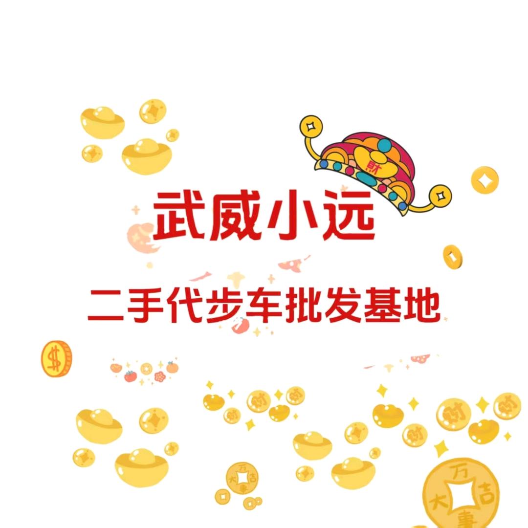 小远二手代步车