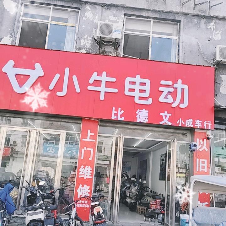 燕子（煤电公司小牛电动）