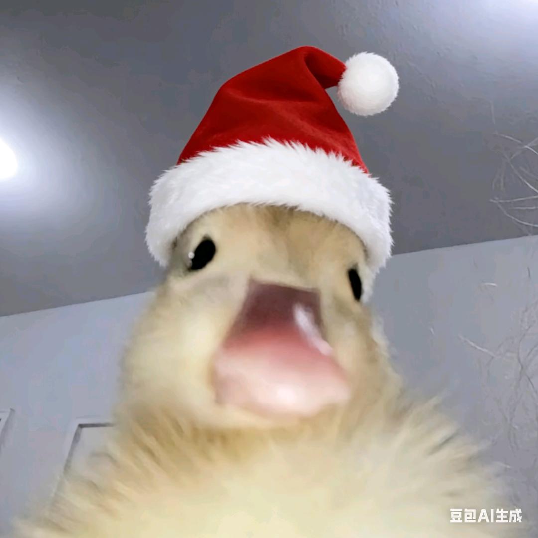 哈尔