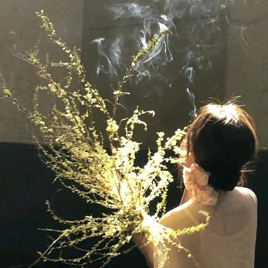 @未来✨