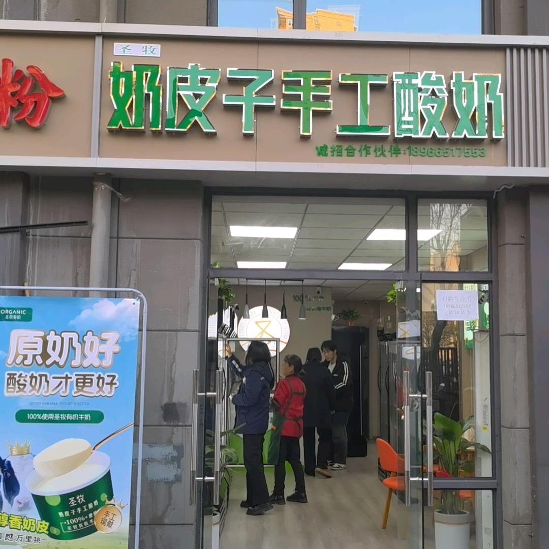奶皮子手工酸奶（辛家庙店）