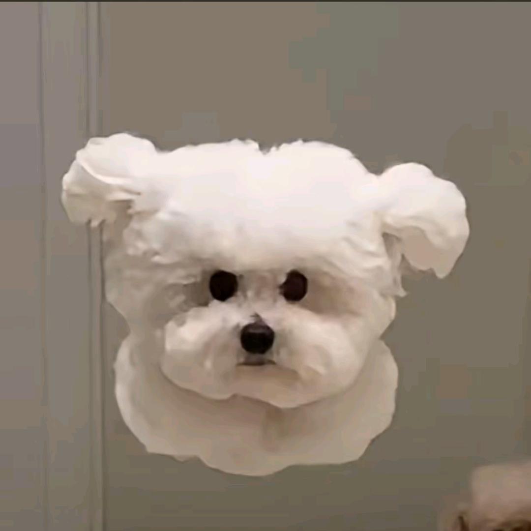 洛洛一洛