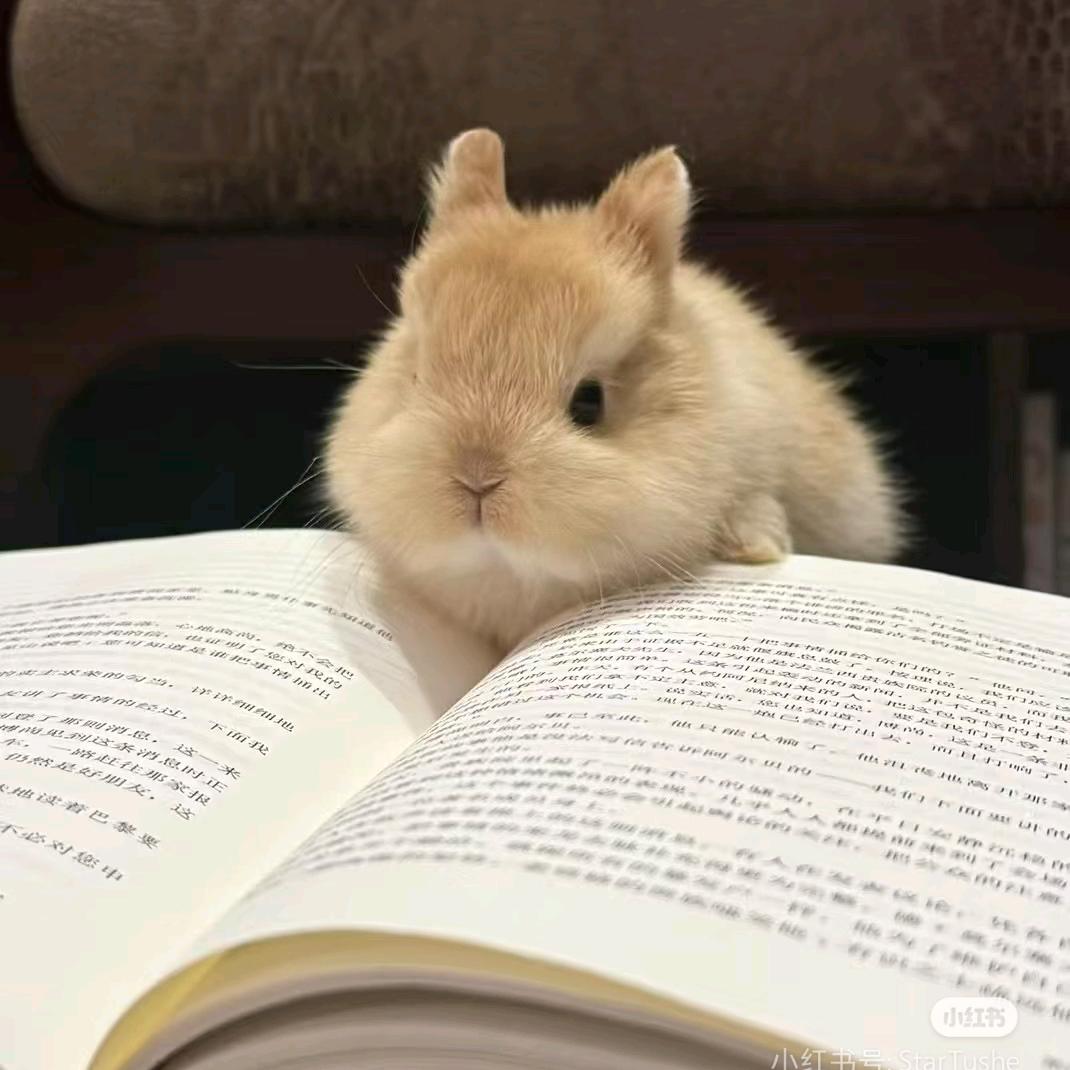 月