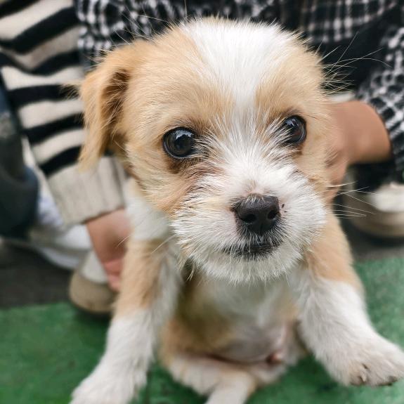 瑶瑶🍏🍒🍆🥕🍇🍊🍉🥭🍈