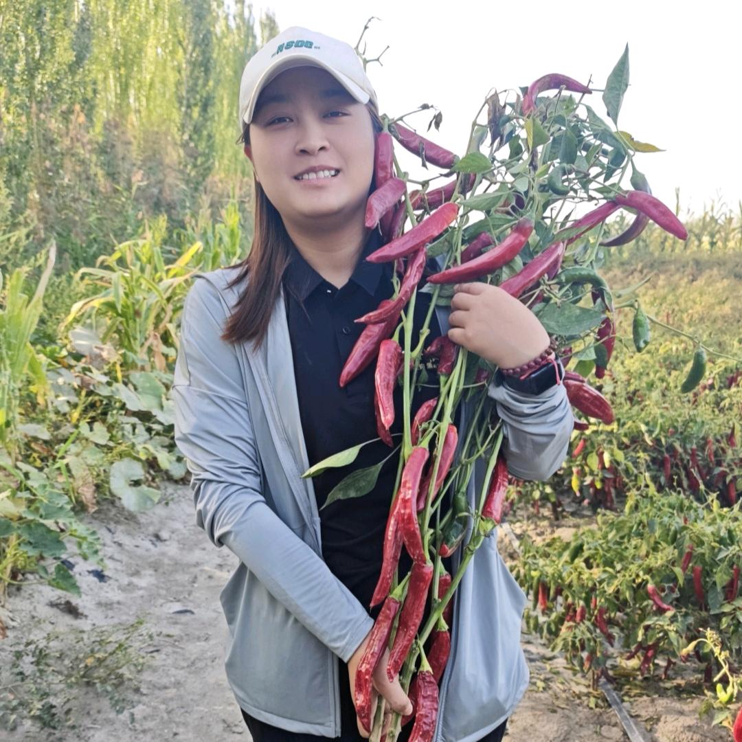 搞农业的小小杨