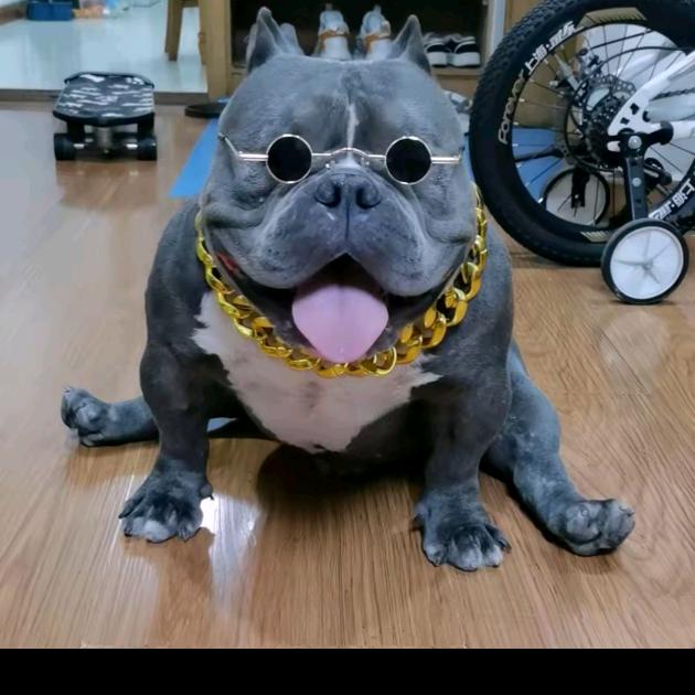 呼呼调