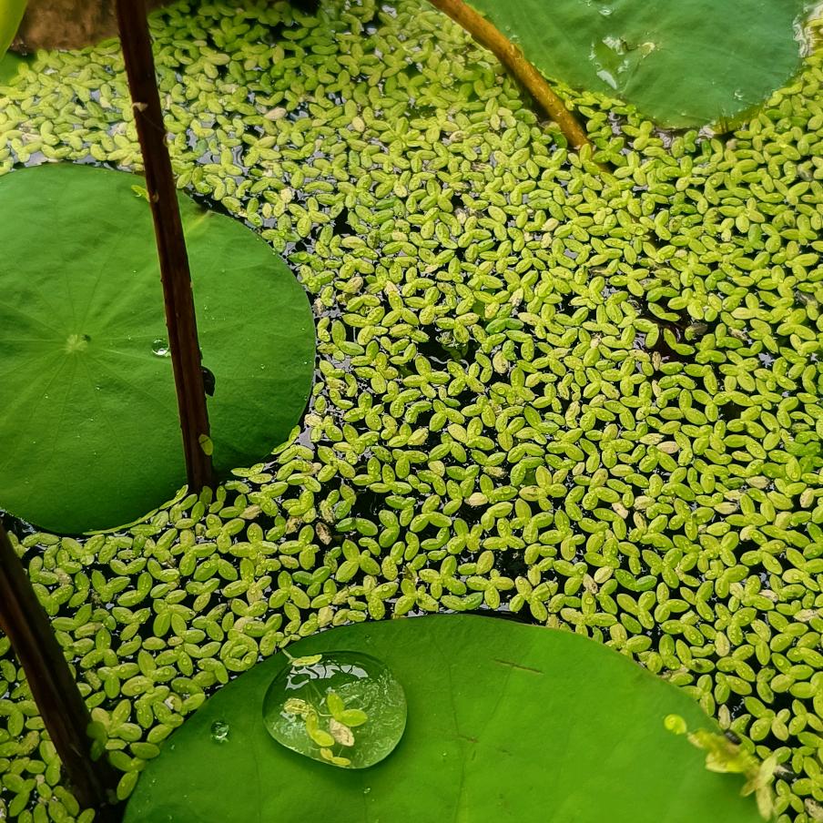 十二月的阳光