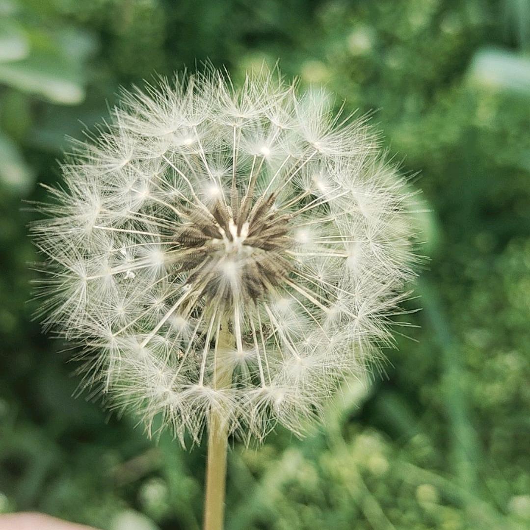 吹吹人间发财风♥