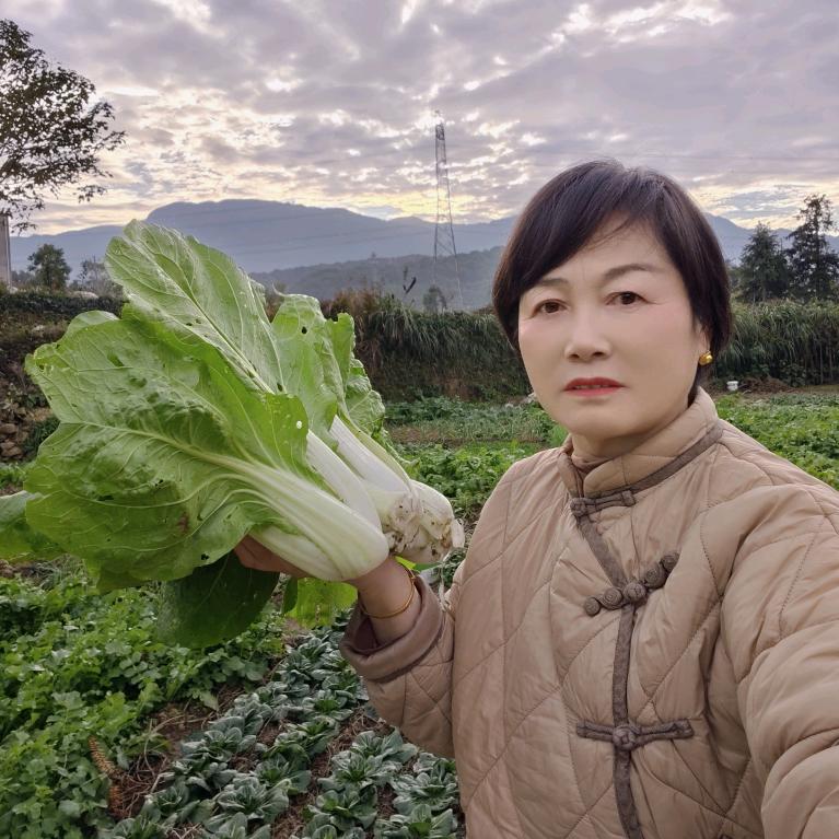 风姐生态顾养菜园