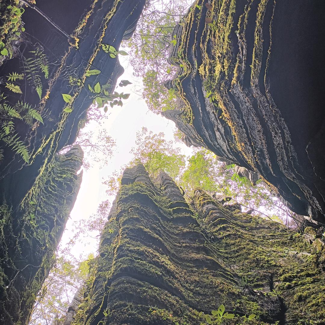 蓝天家具城（请勿连赞）