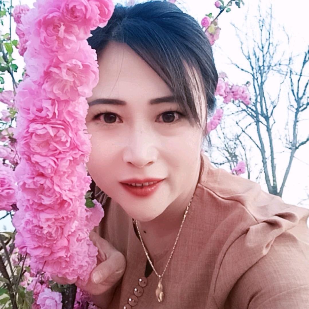 清风如梦