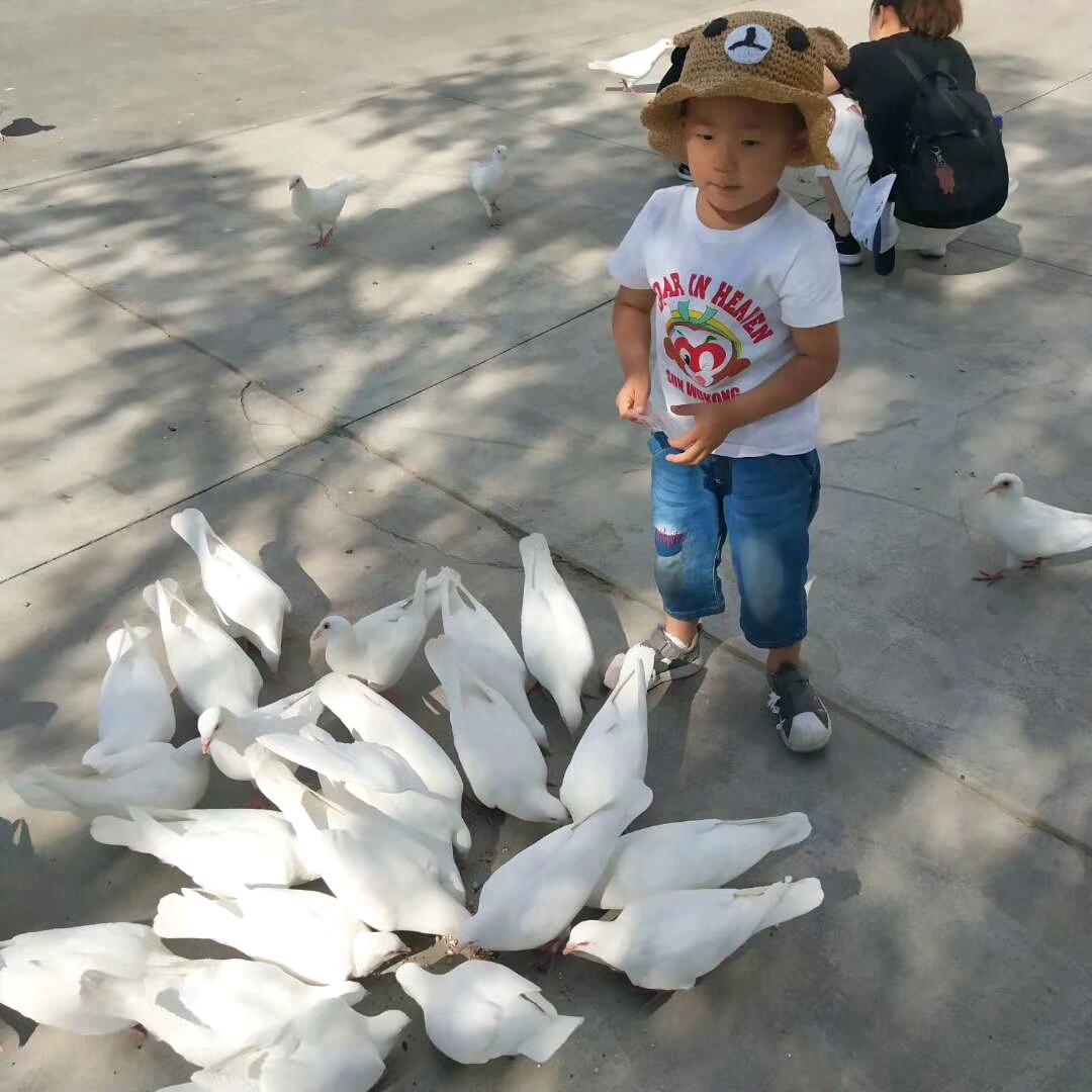 昵称没有了.