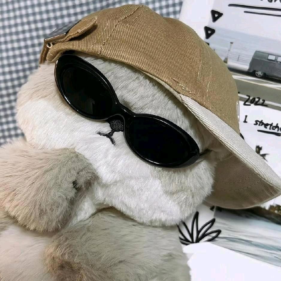 小 张doll头像