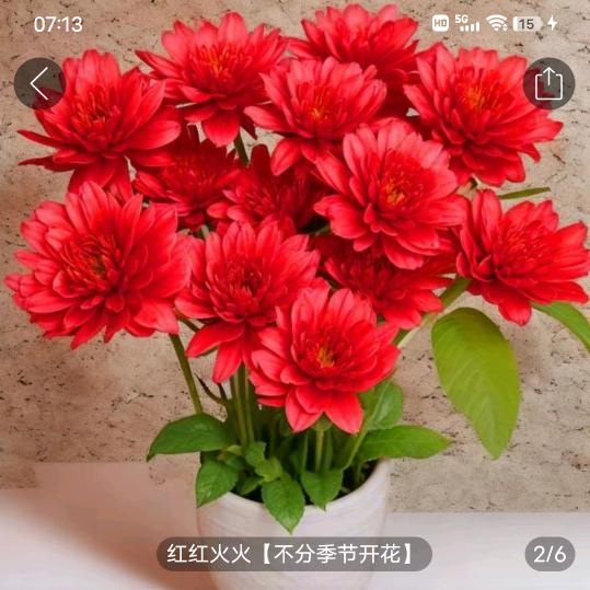 心向温暖