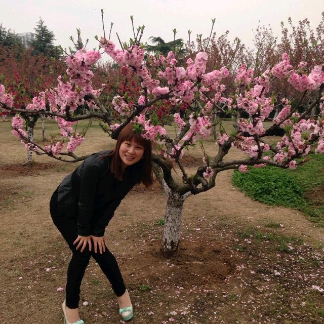 芒果奚米露