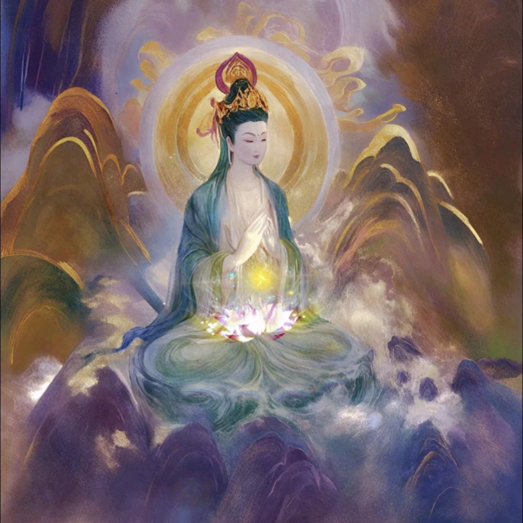 莲花小童 辛垣🪷