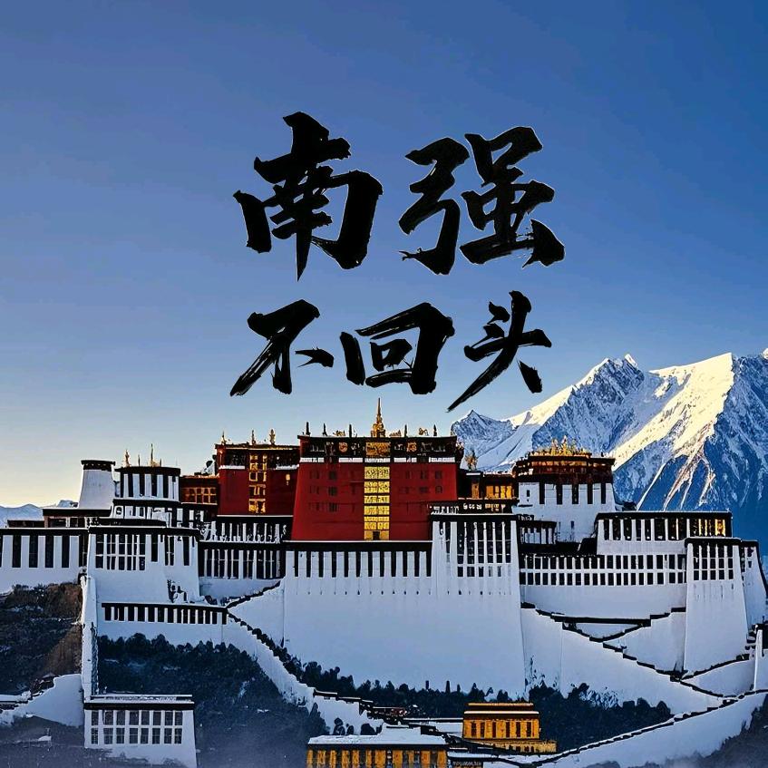南强不回头