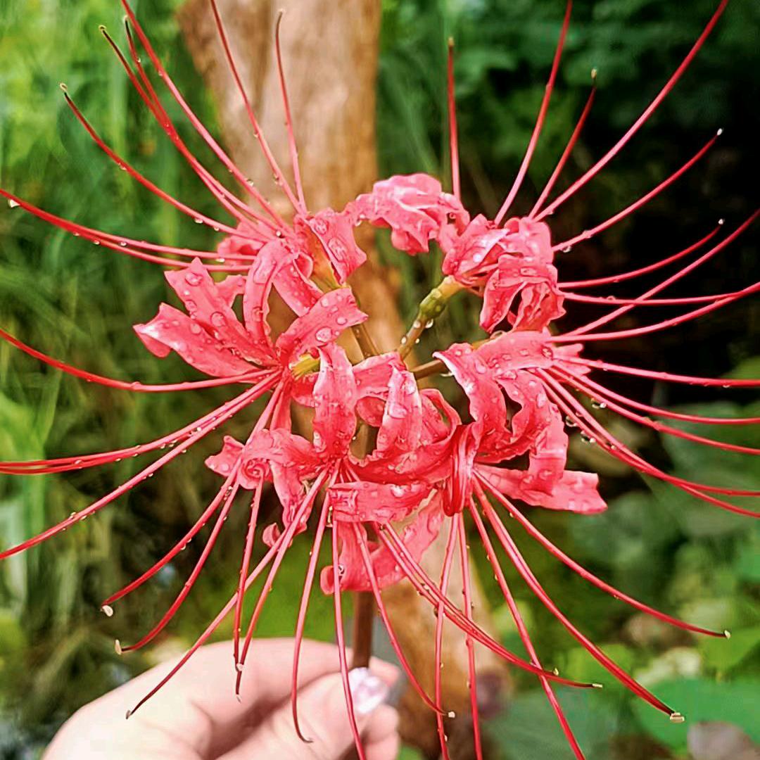 ღ᭄ꫛ别动情 ꧔ꦿ᭄会伤ꦿꦿ࿐ᩚ