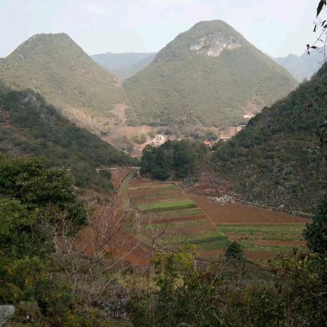 傻瓜💔💔💘💘💘💘💘